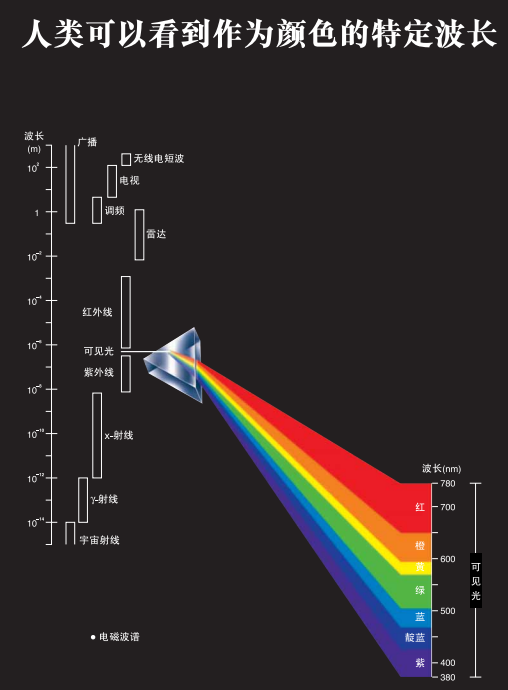 人類可以看到作為顏色的特定波長 image.png
