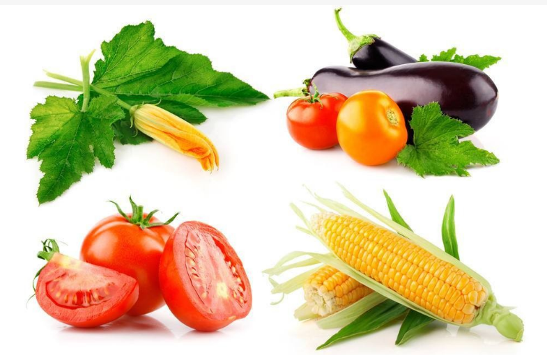 食品顏色測(cè)量 食品顏色測(cè)量